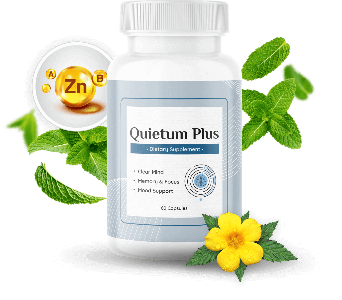 Quietum Plus ® | Official Website